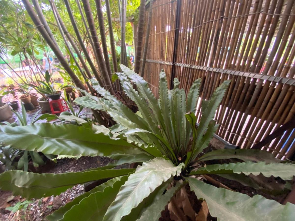 Mayuree Resort Udon Thani Eksteriør bilde