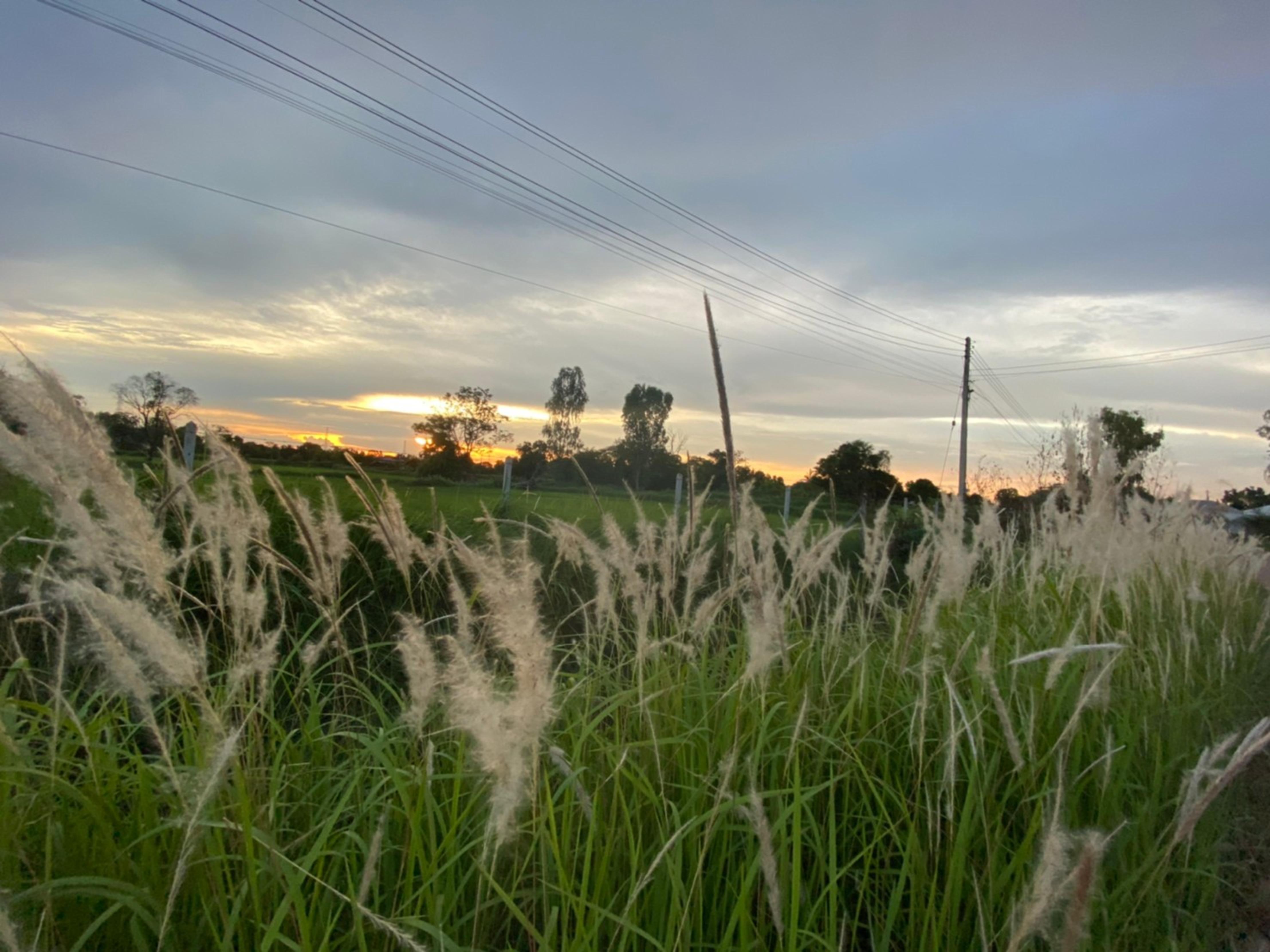 Mayuree Resort Udon Thani Eksteriør bilde
